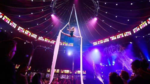 Circus - The Show