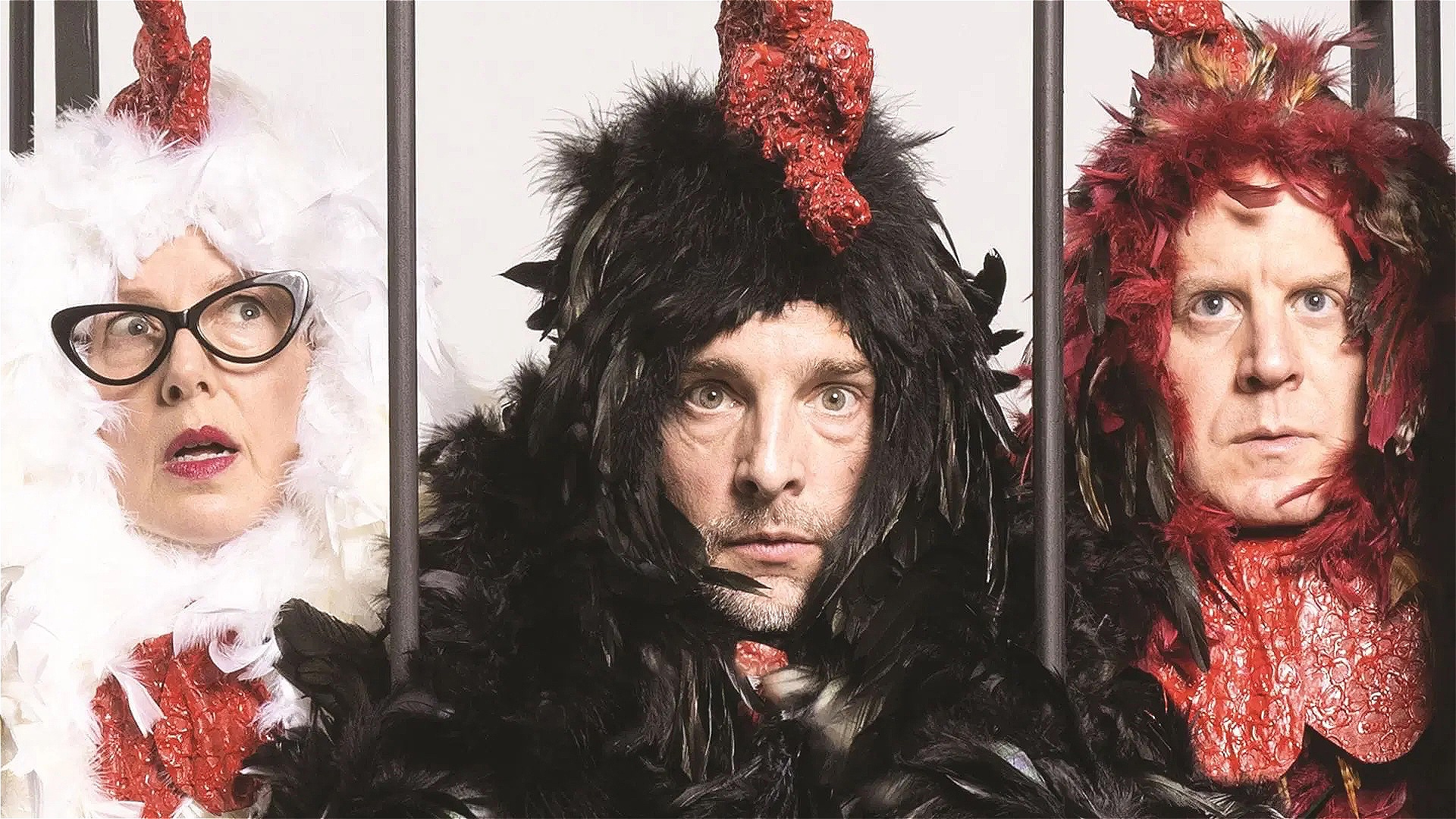 3 Chickens Confront Existence 