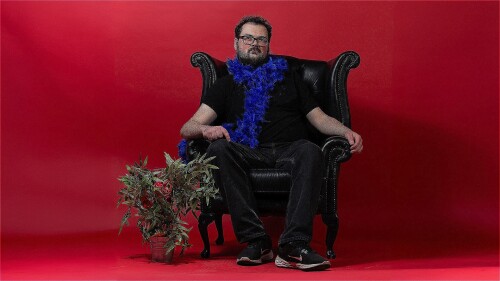 Alex Mitchell sits on a large black arm chair, wearing a blue feather bower, positioned next to a pot plant.