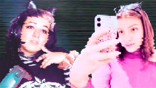 A pixellated image of two playable characters in a video game. The woman on the left is dressed as an 'e-girl' with black hair, catgirl headphones and holds a GameCube controller while posing seductively. The woman on the right is dressed in bright pink,