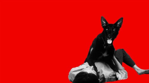 A black and white cut out image of a person lies on their back with a large black dog on their chest on a bright red background. The dog looks directly at the camera with his tongue hanging out.